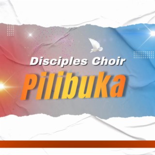 Disciples Choir Pilibuka lyrics | Boomplay Music