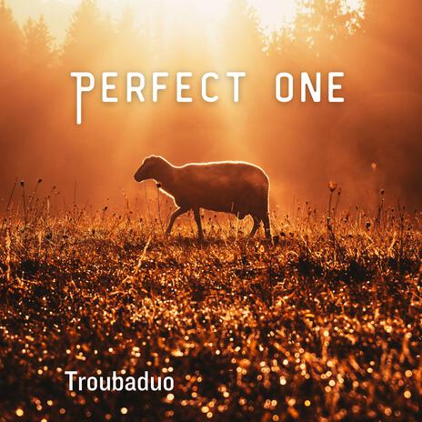 Perfect One (Instrumental) | Boomplay Music