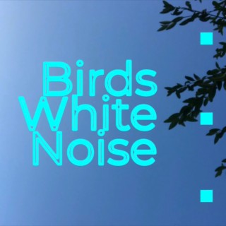 Birds White Noise For Sleep, Study, Relaxation 12 Hours