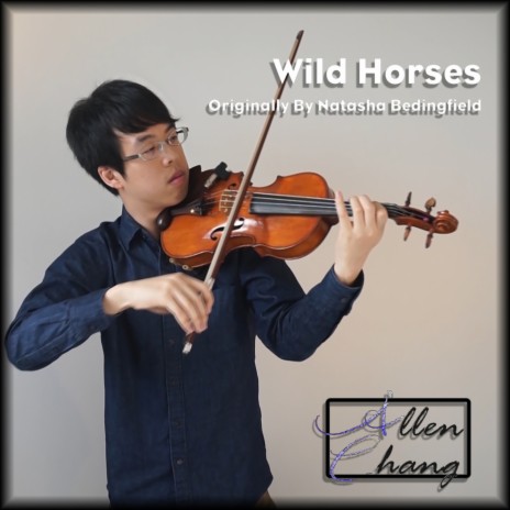 Wild Horses | Boomplay Music