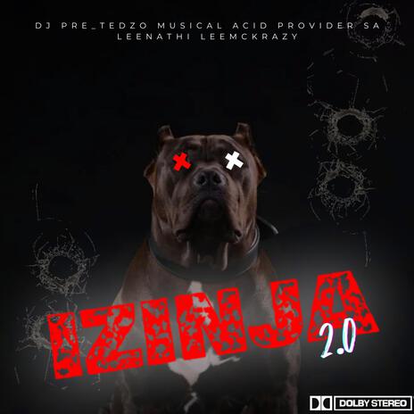 Izinja 2.0 ft. Dj Pre_Tedzo, Leemckrazy, Provider SA & Leenathi | Boomplay Music