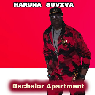 Bachelor Apartment