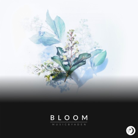 Bloom | Boomplay Music