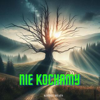 Nie kochamy