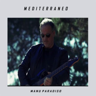 Manu Paradiso Guitarist