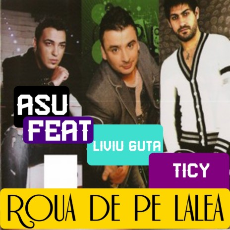 Roua de pe lalea (Feat. Liviu Guta & Ticy) ft. Liviu Guta & Ticy | Boomplay Music