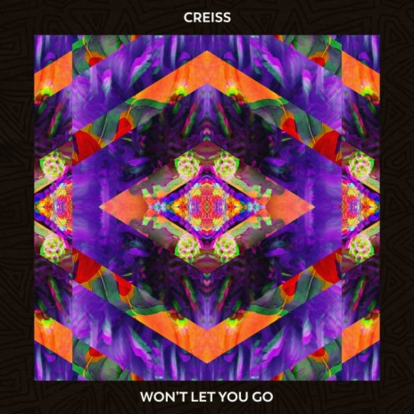 Won't let you go (Original Mix)