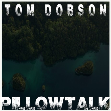 PILLOWTALK | Boomplay Music