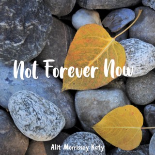 Not Forever Now