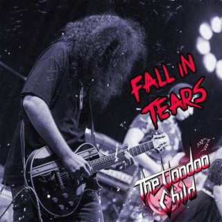 Fall In Tears lyrics | Boomplay Music