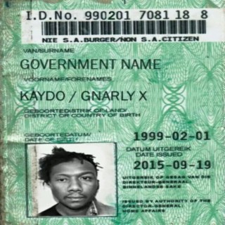 Government Name (feat. Gnarly X)