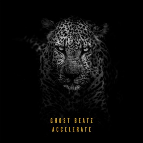 Accelerate | Boomplay Music
