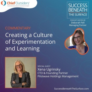 EP20: Creating a Culture of Experimentation and Learning