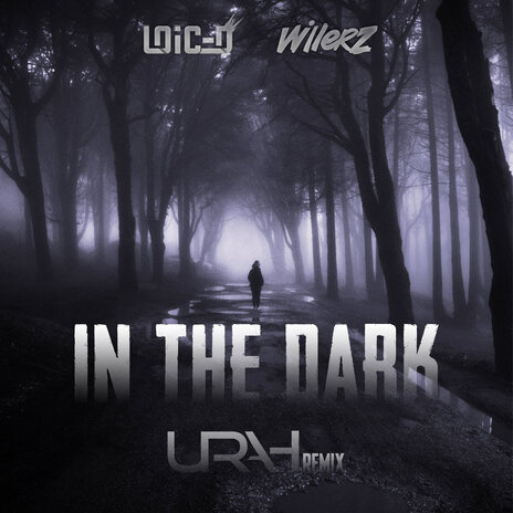 In the Dark (Urah Remix) ft. Willerz | Boomplay Music