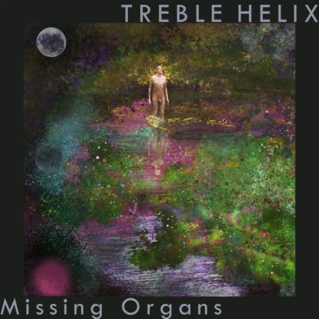 Missing Organs | Boomplay Music