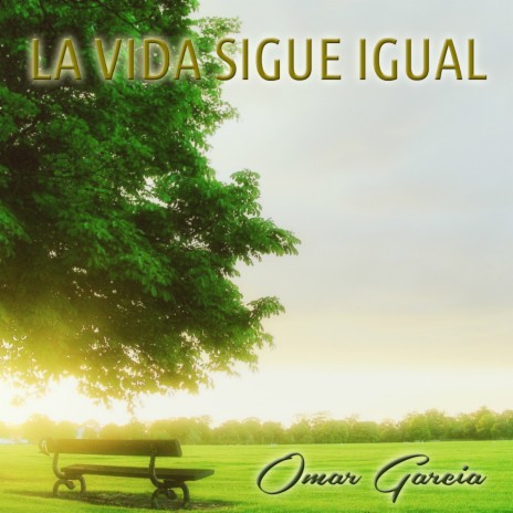 La Vida Sigue Igual | Boomplay Music