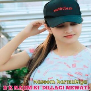 R K Najim Ki Dillagi Mewati