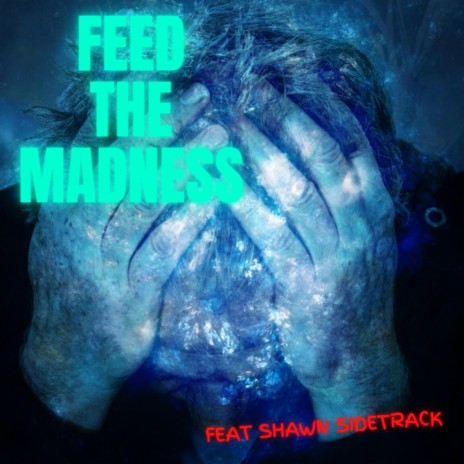 Feed The Madness ft. Shawn Sidetrack | Boomplay Music