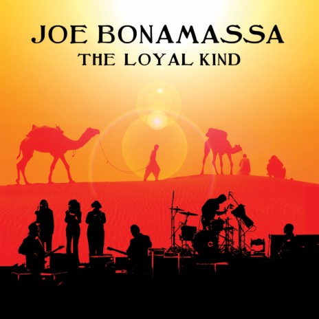 The Loyal Kind | Boomplay Music