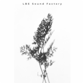 LBE Sound Factory
