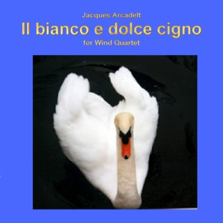 Il bianco e dolce cigno for wind quartet