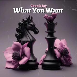 What You Want | Boomplay Music