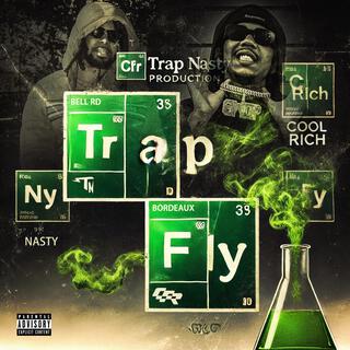 Trap Fly