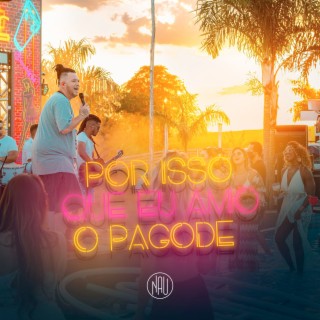 Por Isso Que Eu Amo o Pagode