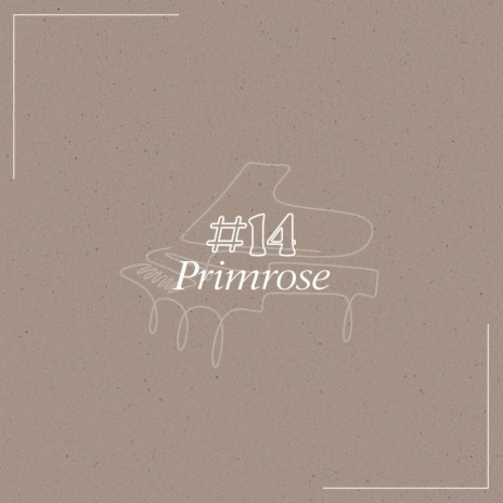 Primrose | Boomplay Music