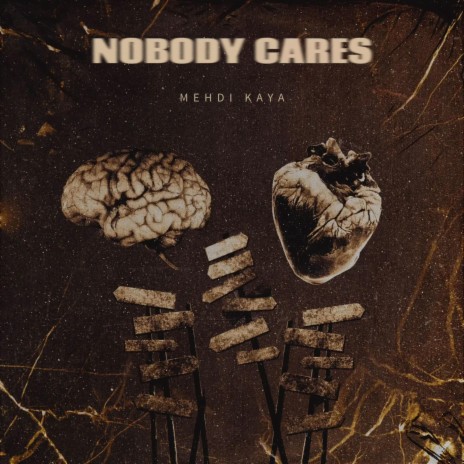 nobody cares | Boomplay Music