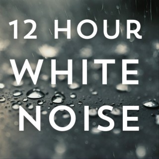 12-Hour Relaxing Rain White Noise: Sleep, Study, and Meditation