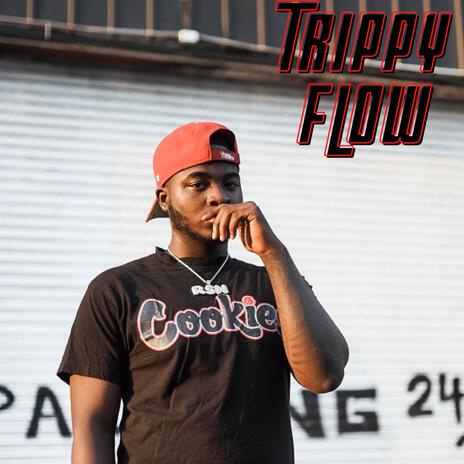 Trippy Flow | Boomplay Music