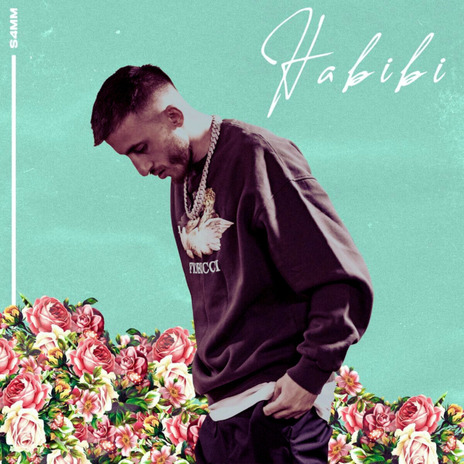 Habibi | Boomplay Music