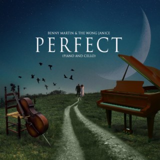 Perfect (Piano & Cello)