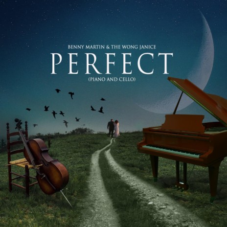 Perfect (Piano & Cello) ft. The Wong Janice | Boomplay Music