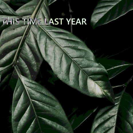 This Time Last Year | Boomplay Music