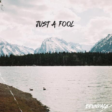 just a fool | Boomplay Music