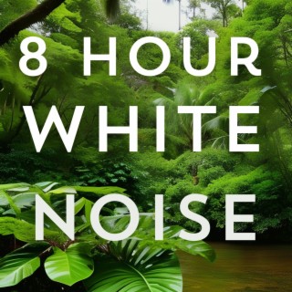 Rain White Noise 8 Hours for Sleep and Relaxation