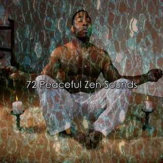 !!!! 72 Peaceful Zen Sounds !!!!