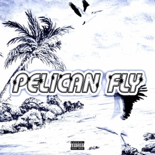 Pelican Fly