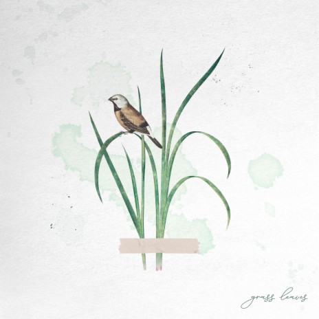 grass leaves ft. BƱBBLE | Boomplay Music