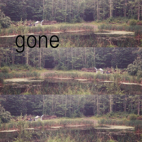 gone ft. Facile | Boomplay Music