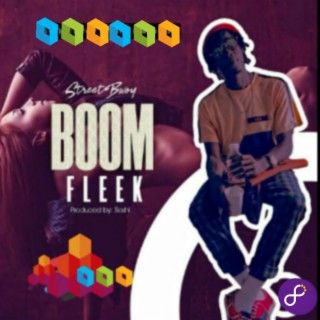 Boom fleek lyrics | Boomplay Music