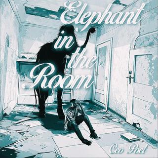 Elephnt in the Room