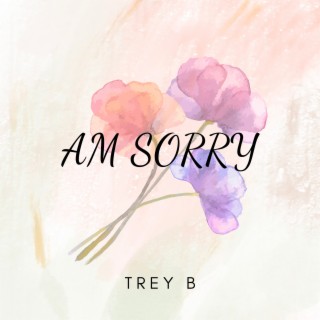 Am Sorry