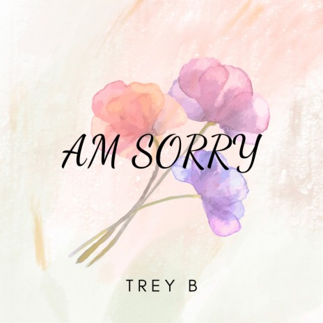 Am Sorry