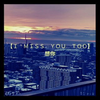 I Miss You Too