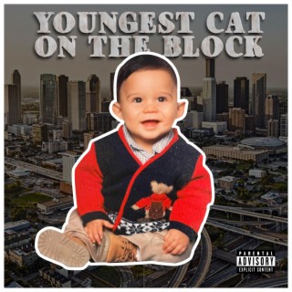 Youngest Cat On The Block
