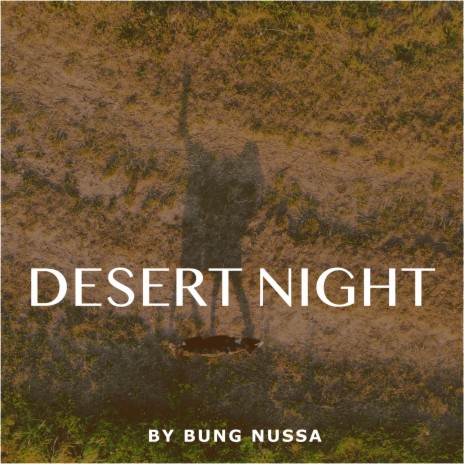 Desert night