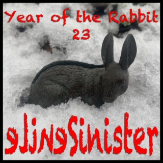 Year of the Rabbit 23
